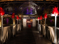 Ópera de Arame - Musical ABBA - 2015