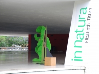 In Natura - Museu Oscar Niemeyer 2007