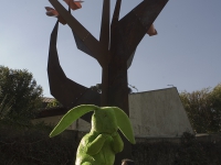 In Natura - Museu Oscar Niemeyer 2007