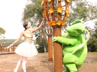 In Natura Foz do Iguaçu - 2008