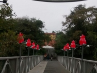 Ópera de Arame - Musical ABBA - 2015