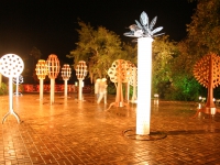 In Natura Foz do Iguaçu - 2008