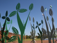 In Natura Foz do Iguaçu - 2008